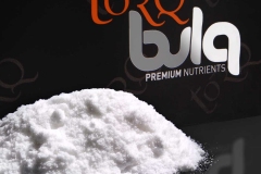 TORQ BULQ Glutamine