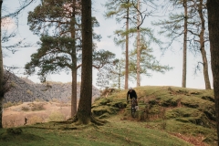 TORQ-Gravel-Riding-3