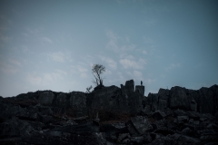 YC_TORQ_-158